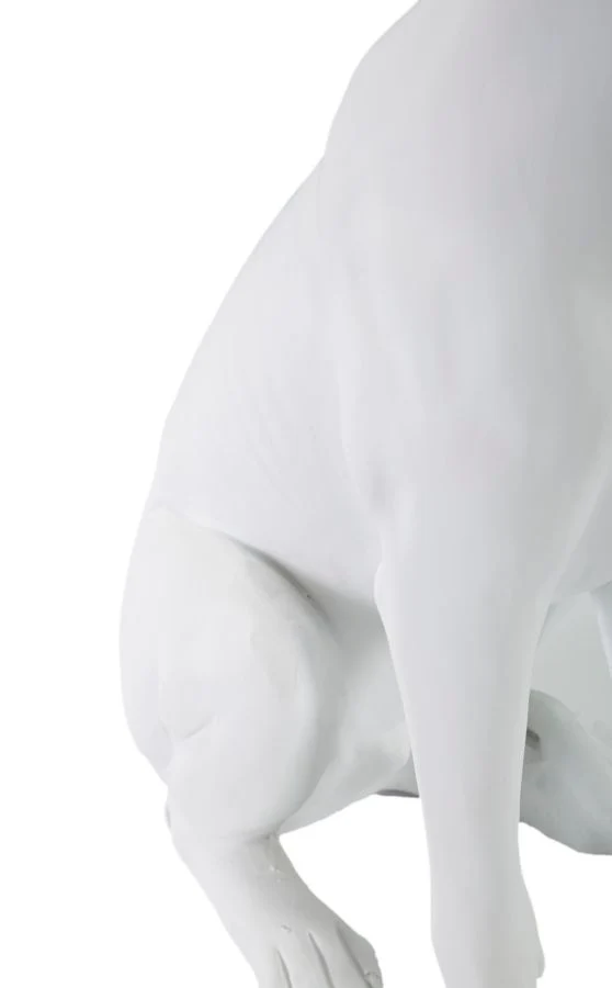 Statua Elegante di Cane con Corona Bianca 20x12,5x33 cm - Image 6