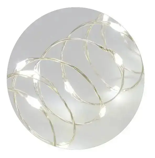 Catena lineare 10m 100 microled traditional - Image 3