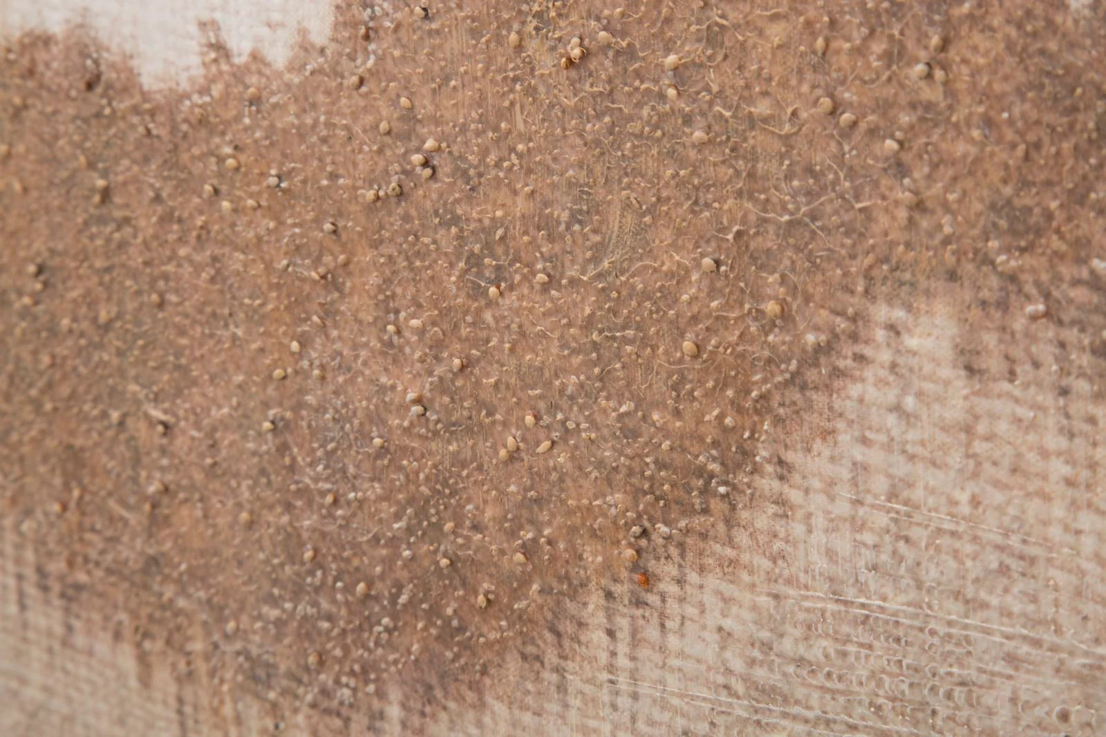 Dipinto Astratto su Tela Browny 80x3,7x100 cm - Image 2