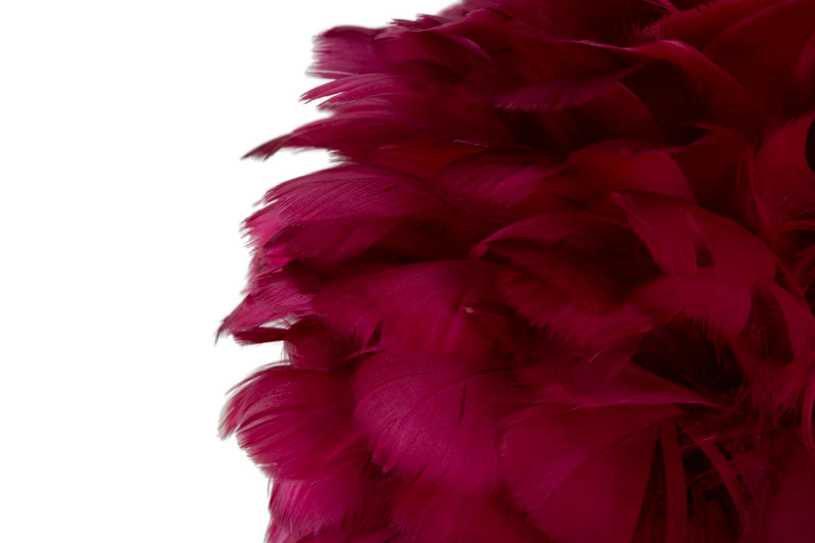 Lampada da Tavolo Elegante con Piume Bordeaux Ø 30x50 cm - Image 4