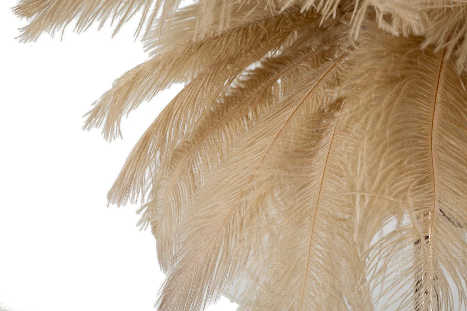 Lampada da Tavolo Eleganza Palm Cammello ø 55x60 cm - Image 2