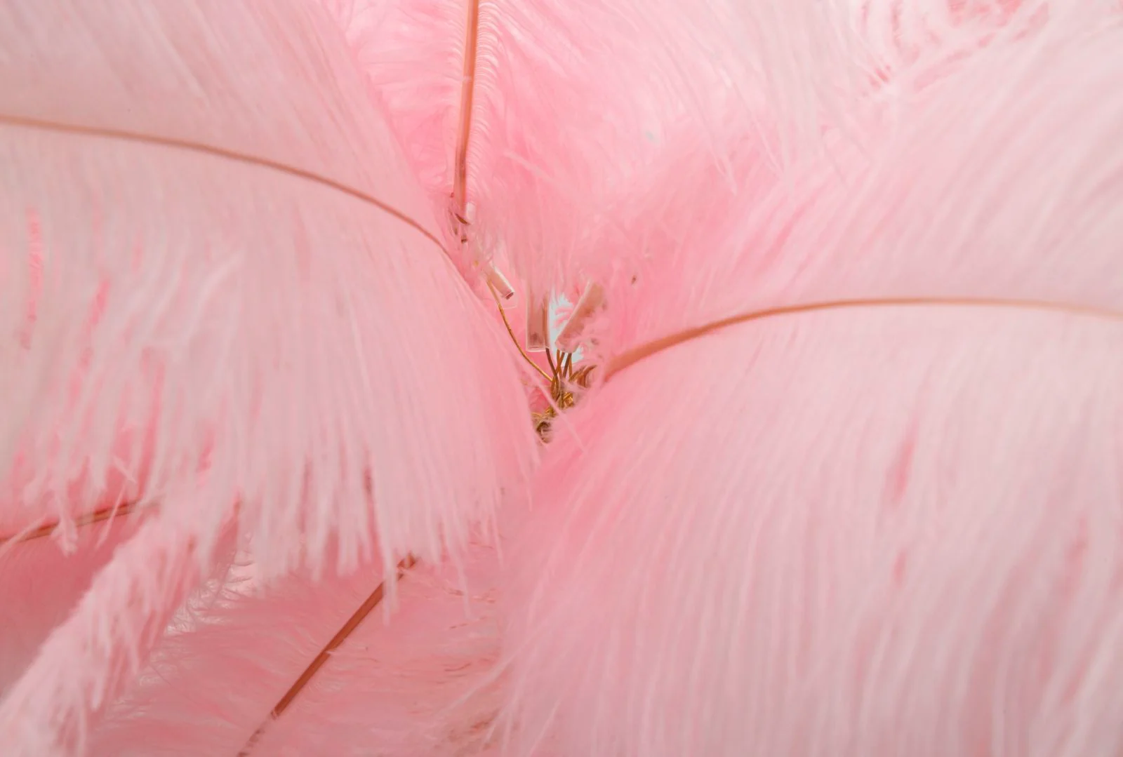 Lampada da Terra Eleganza Rosa Ø 55x160 cm - Image 3