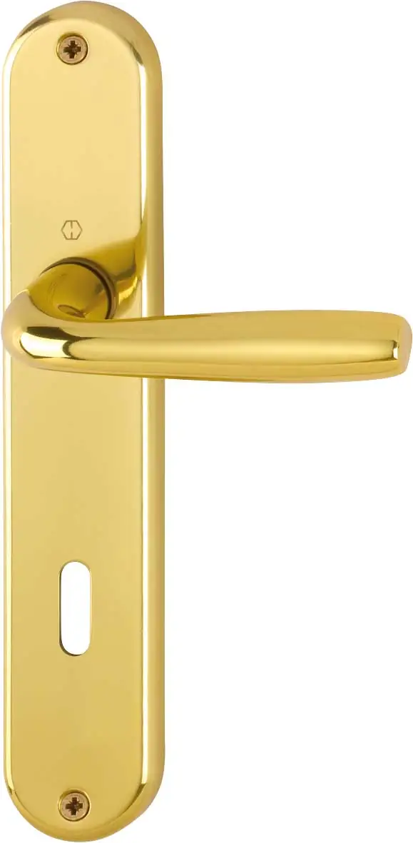 Maniglia Maribor con Foro Chiave Patent HOPPE in Alluminio - Image 3