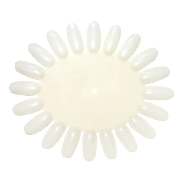 PEGGY SAGE CAMPIONARIOUNGHIE VERGINI X 10