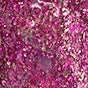 PEGGY SAGE GEL UV&LED COLORATO PER UNGHIE FAIRY S LEGEND 5G - Image 2