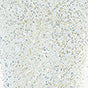 PEGGY SAGE  I-LAK SOAK OFF GEL POLISH DIAMOND SKY  - 11ML - Image 2