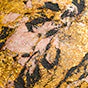 PEGGY SAGE OMBRETTO - WET&DRY - BAKED COLORS - Image 2