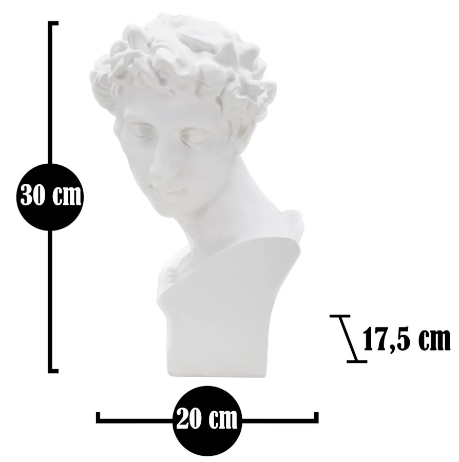Scultura Rinascimentale Roman Young cm 20x17,5x30 - Image 6