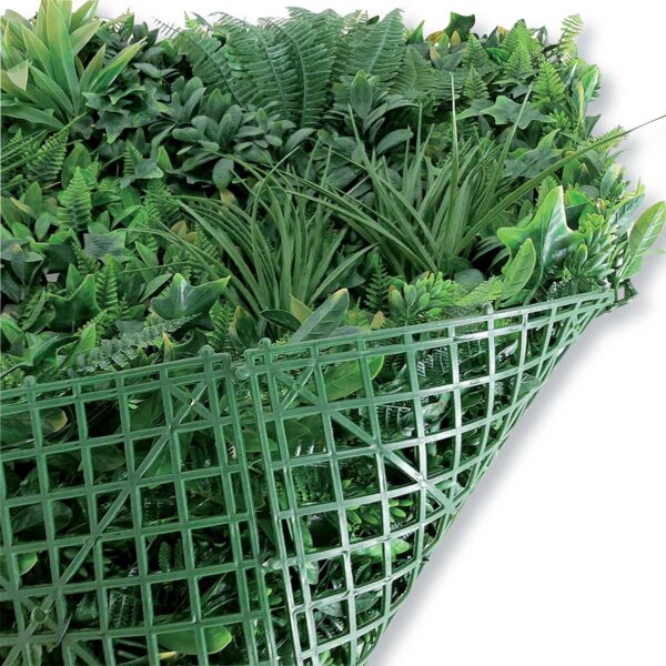 Sempreverde siepe Jungle Giungla verde cm 100x100 - Image 3