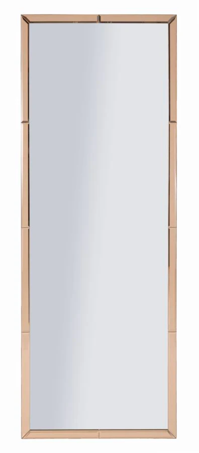 Specchio Da Muro Berlino Rosa Cm 55X2X150 Design Elegante