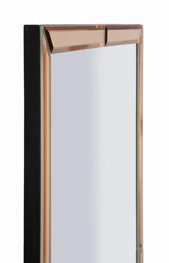 Specchio Da Muro Berlino Rosa Cm 55X2X150 Design Elegante - Image 2