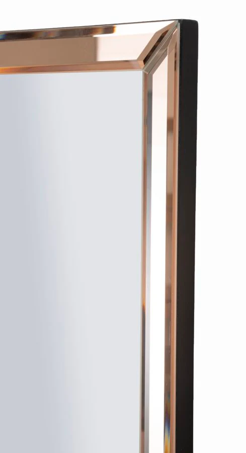 Specchio Da Muro Berlino Rosa Cm 55X2X150 Design Elegante - Image 4