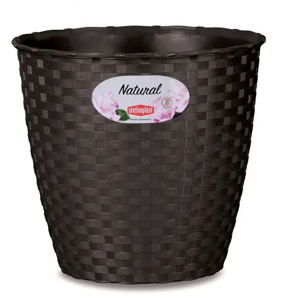 Vaso natural cm.19 diversi colori - Image 3