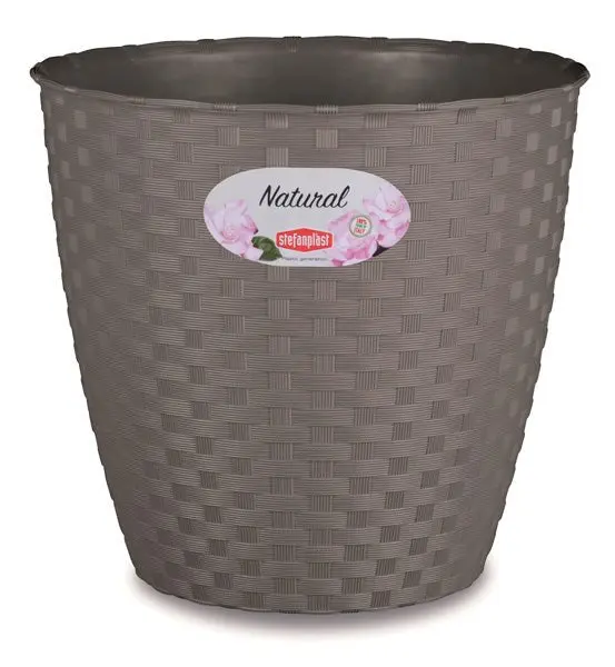 Vaso natural cm.19 diversi colori - Image 5